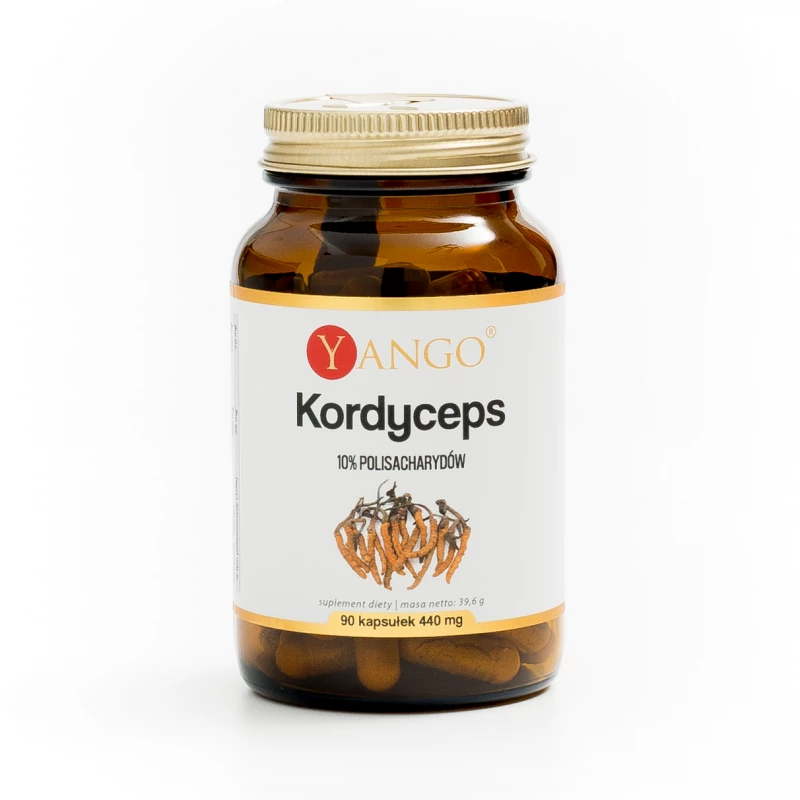 Kordyceps - ekstrakt 10% polisacharydów - Yango - 90 kaps.