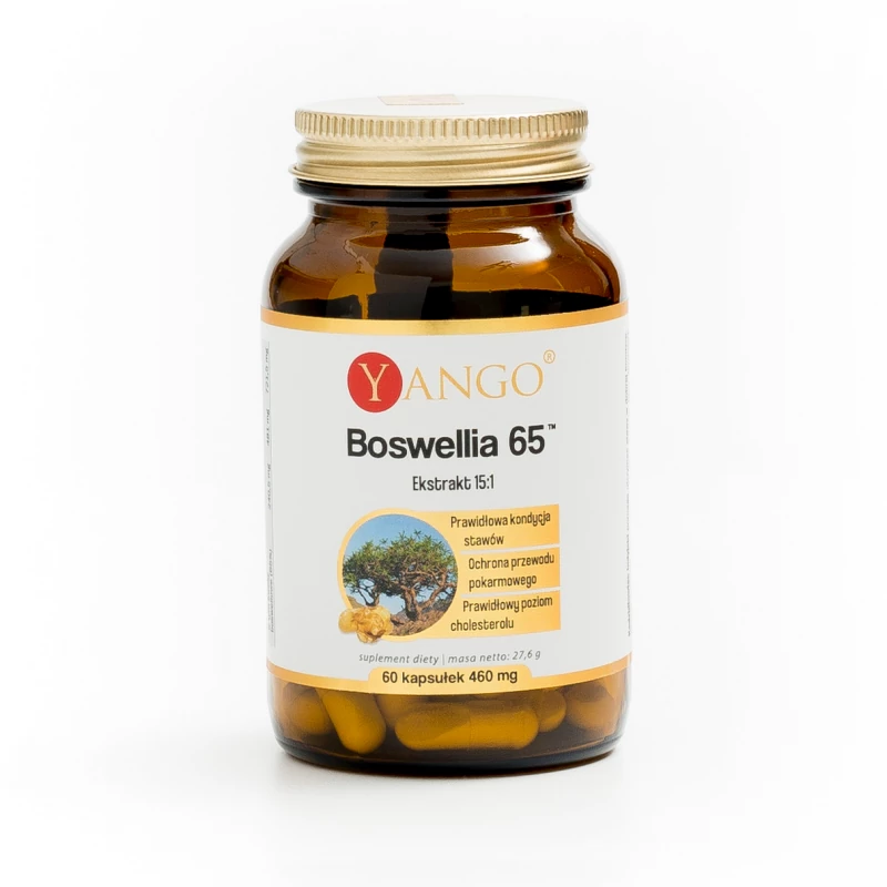 Boswellia 65 - Yango - 60 kaps.