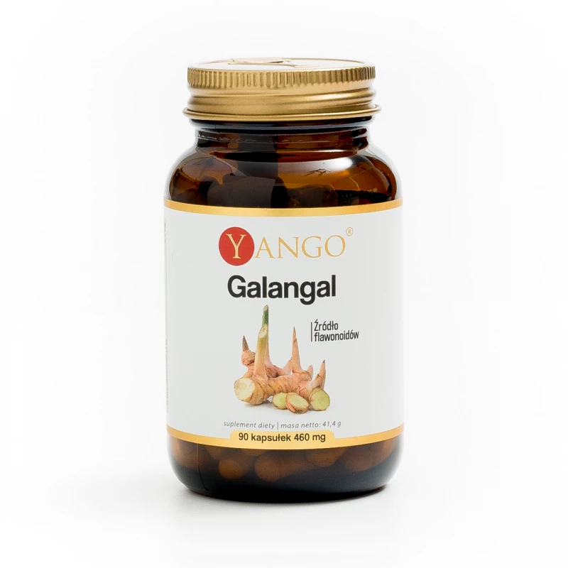 Galangal ekstrakt - Yango - 90 kaps.